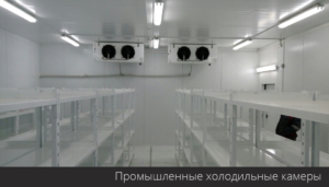 промышленная холодильная камера